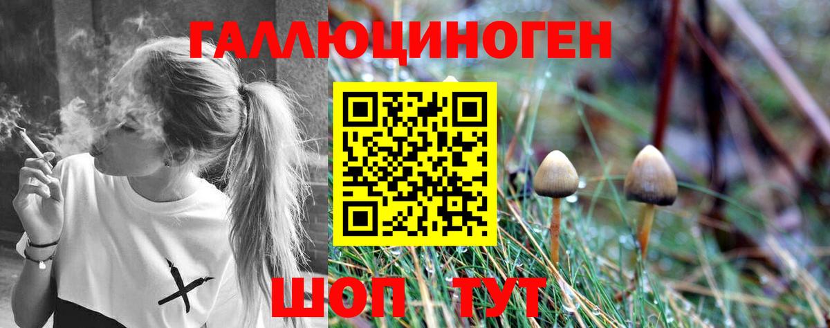 Троицк  Галлюциногенные грибы Magic Shrooms  Вход с VPN  Галлюциногенные грибы мухоморы 